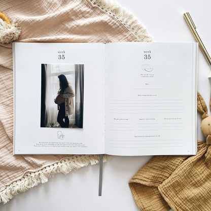 Pregnancy Journal