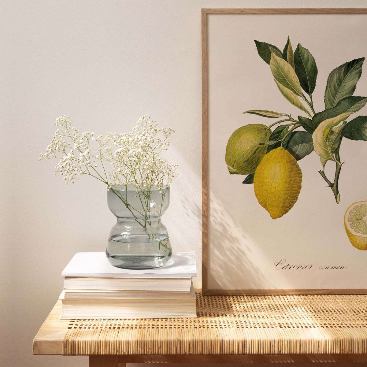 Common Lemon 30x40cm print