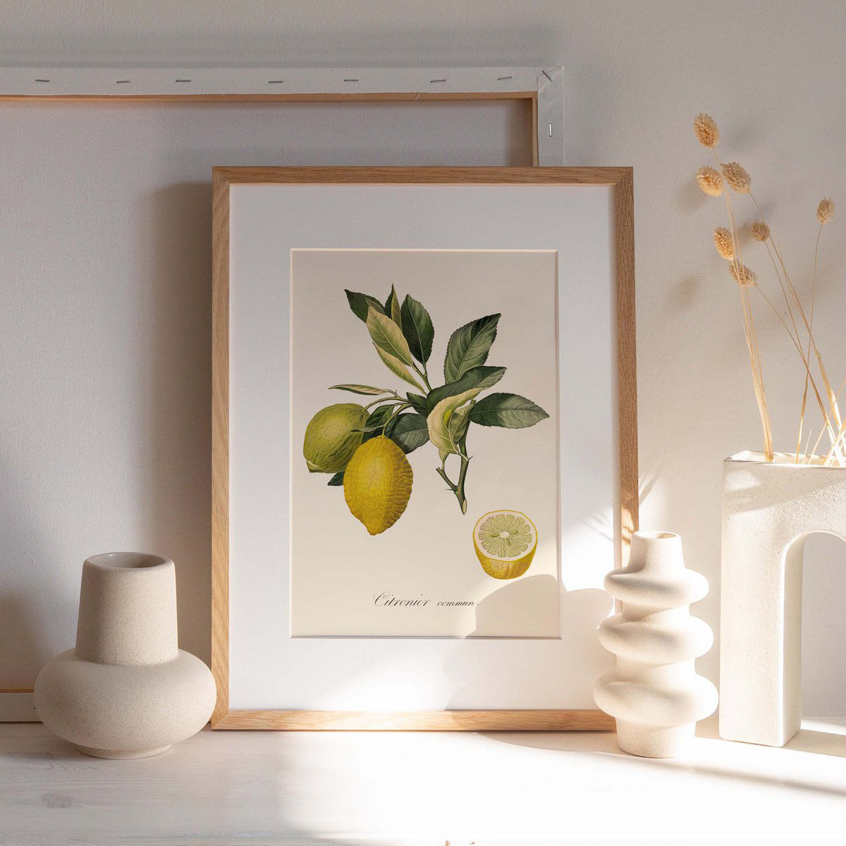 Common Lemon 30x40cm print