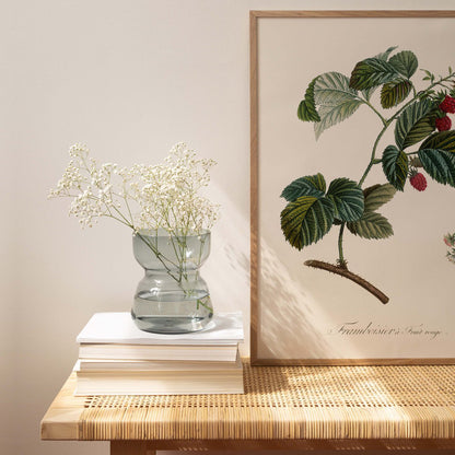 Red Fruit Raspberry 30x40cm print