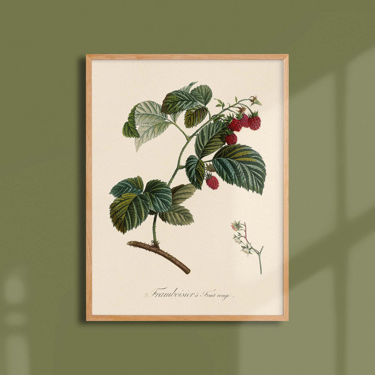 Red Fruit Raspberry 30x40cm print